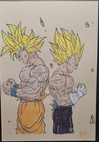 Son Goku et Vegeta SSJ